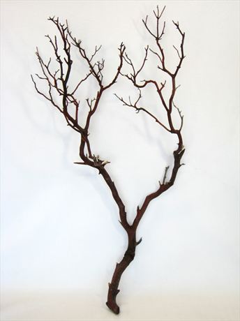 3-4' natural red manzanita branches