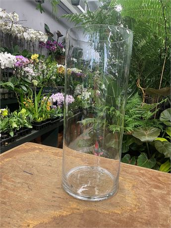 8"d x 20"h clear glass cylinder vase